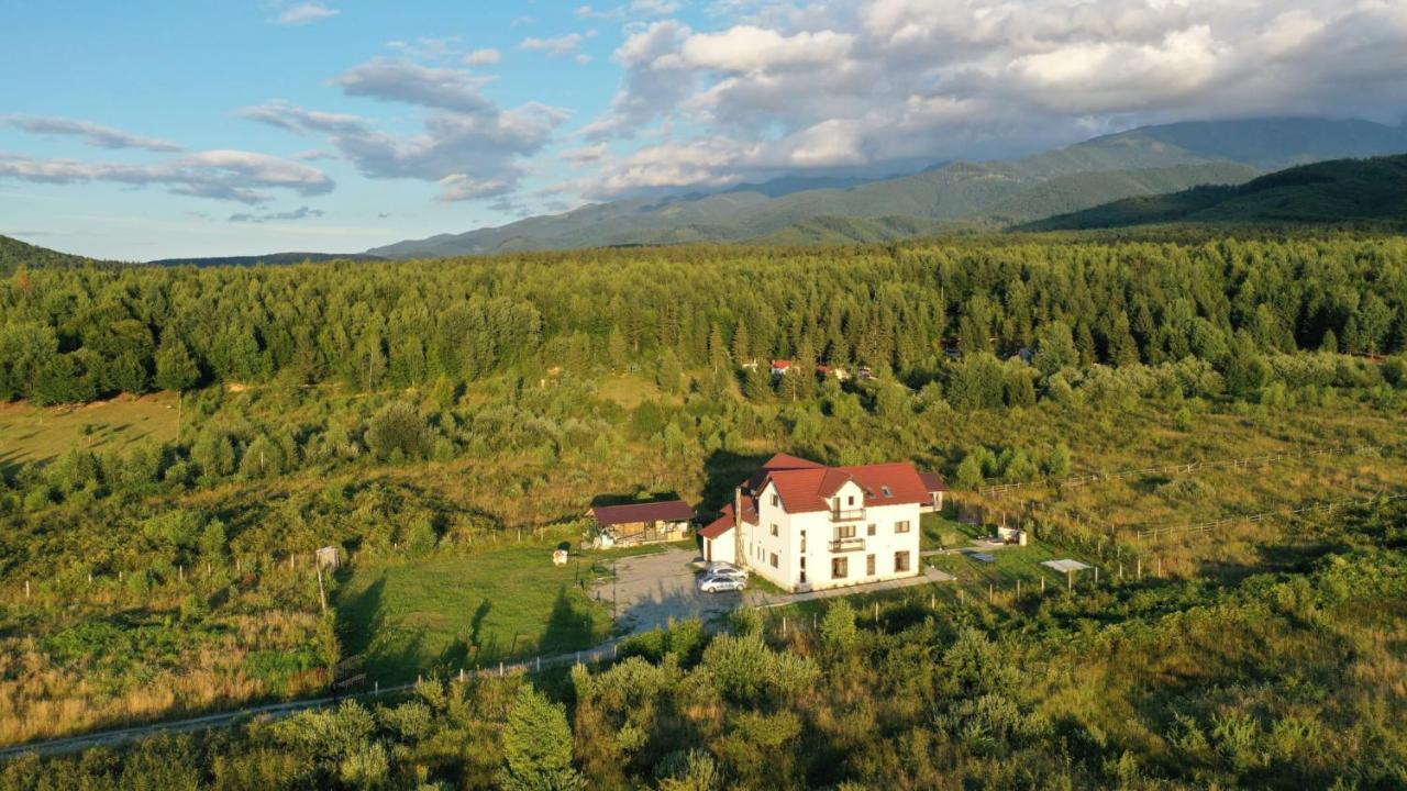 Pensiunea Ivoire Avrig Exteriör bild