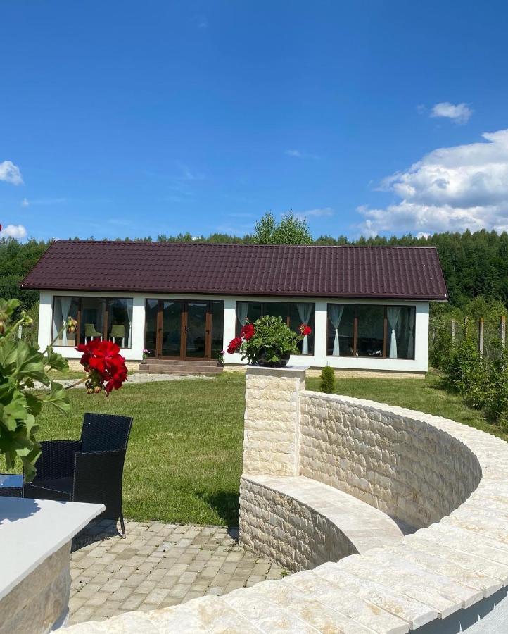 Pensiunea Ivoire Avrig Exteriör bild